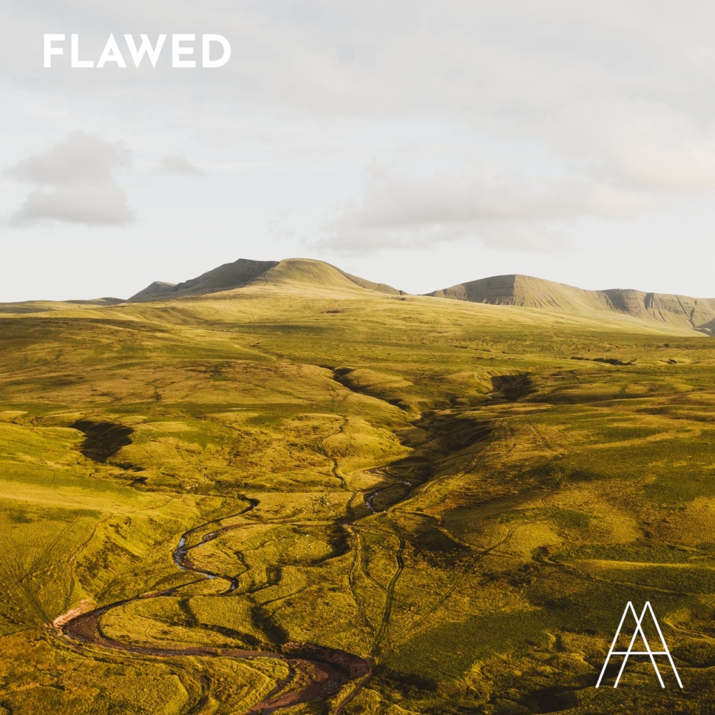 flawed-meaning-youtube